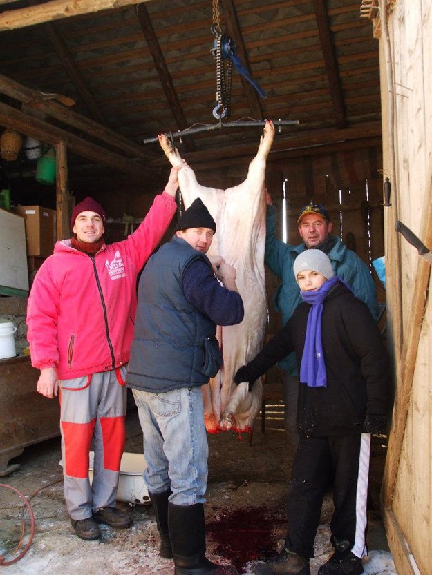 HogHarvestIveta DzubriakovÃ¡ KundrÃ¡tovÃ¡ (1)